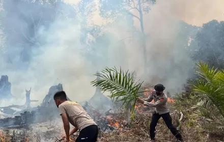 Satbrimob Polda Jambi Kerahkan 30 Personel Tangani Karhutla di Betara Tanjab Barat