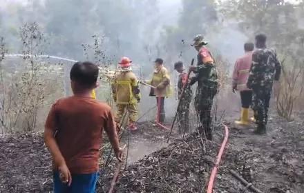 Lahan Bambu Terbakar di Moga Pemalang, Api Padam Setelah Hampir Tiga Jam